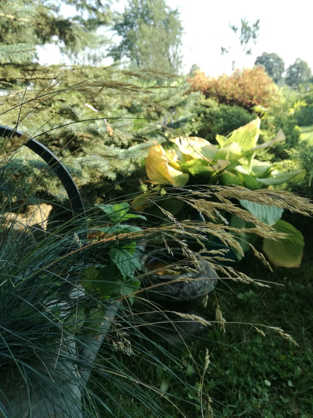 Suwalska kraina czarów