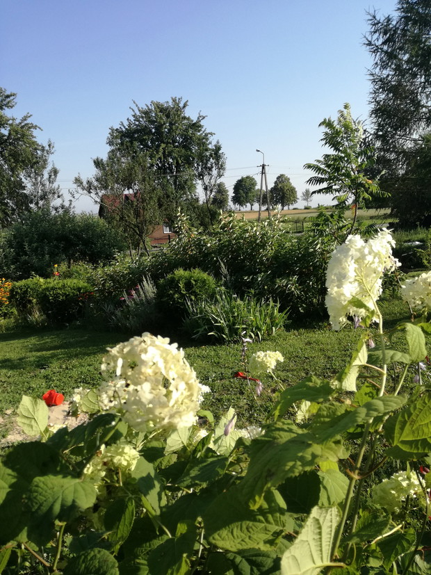 Suwalska kraina czarów