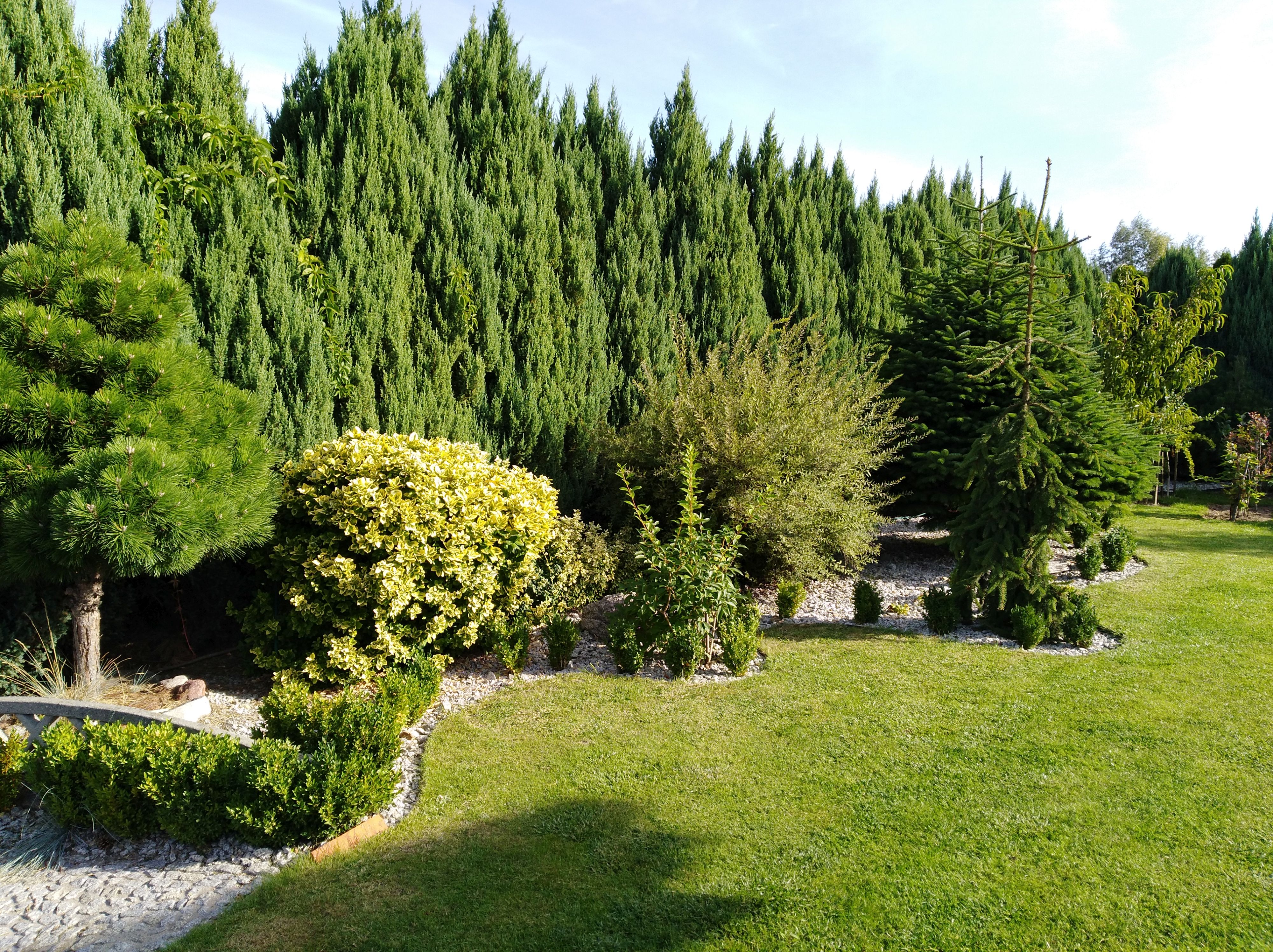 Tu wszystko się zaczęło