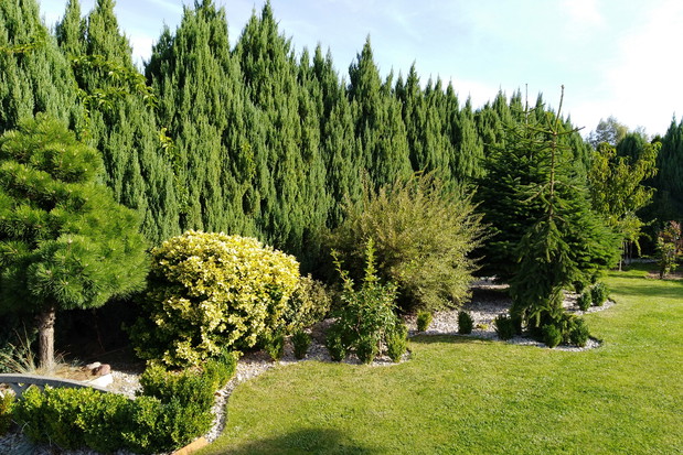 Tu wszystko się zaczęło