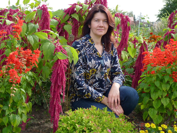 W "czerwonej rabacie"