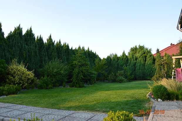 W kąciku brzoskiwnia i spółka