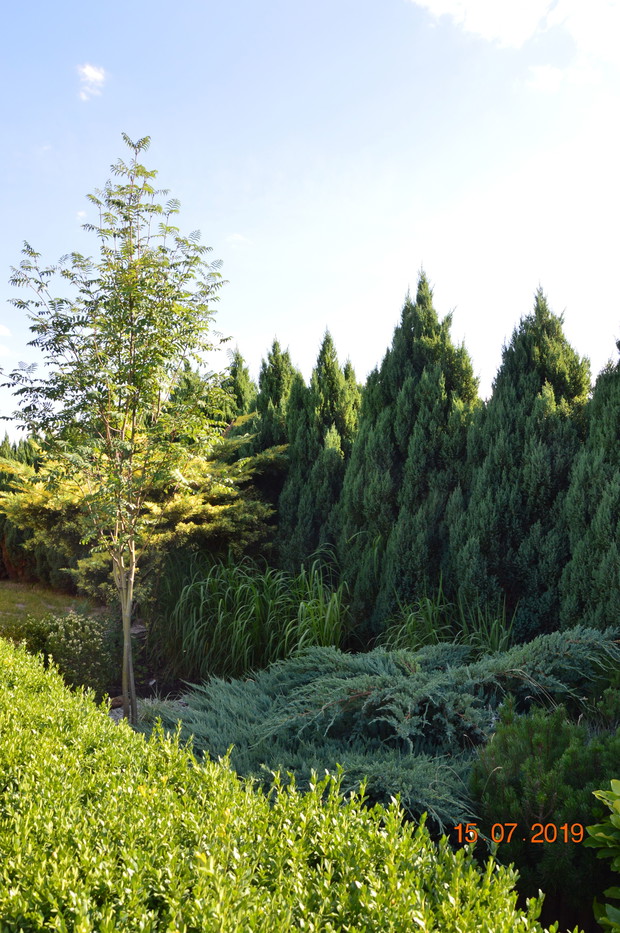 Wszystkiego po trochu