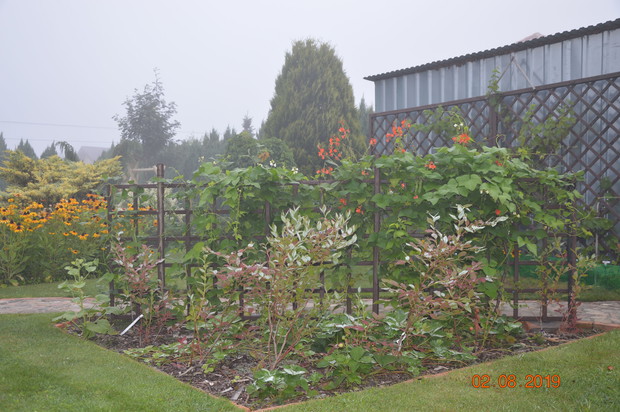 Z mgłą jest bardzo tajemniczo