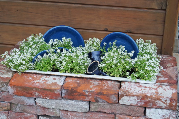 Zlew z naczyniami i pianą ze smagliczki