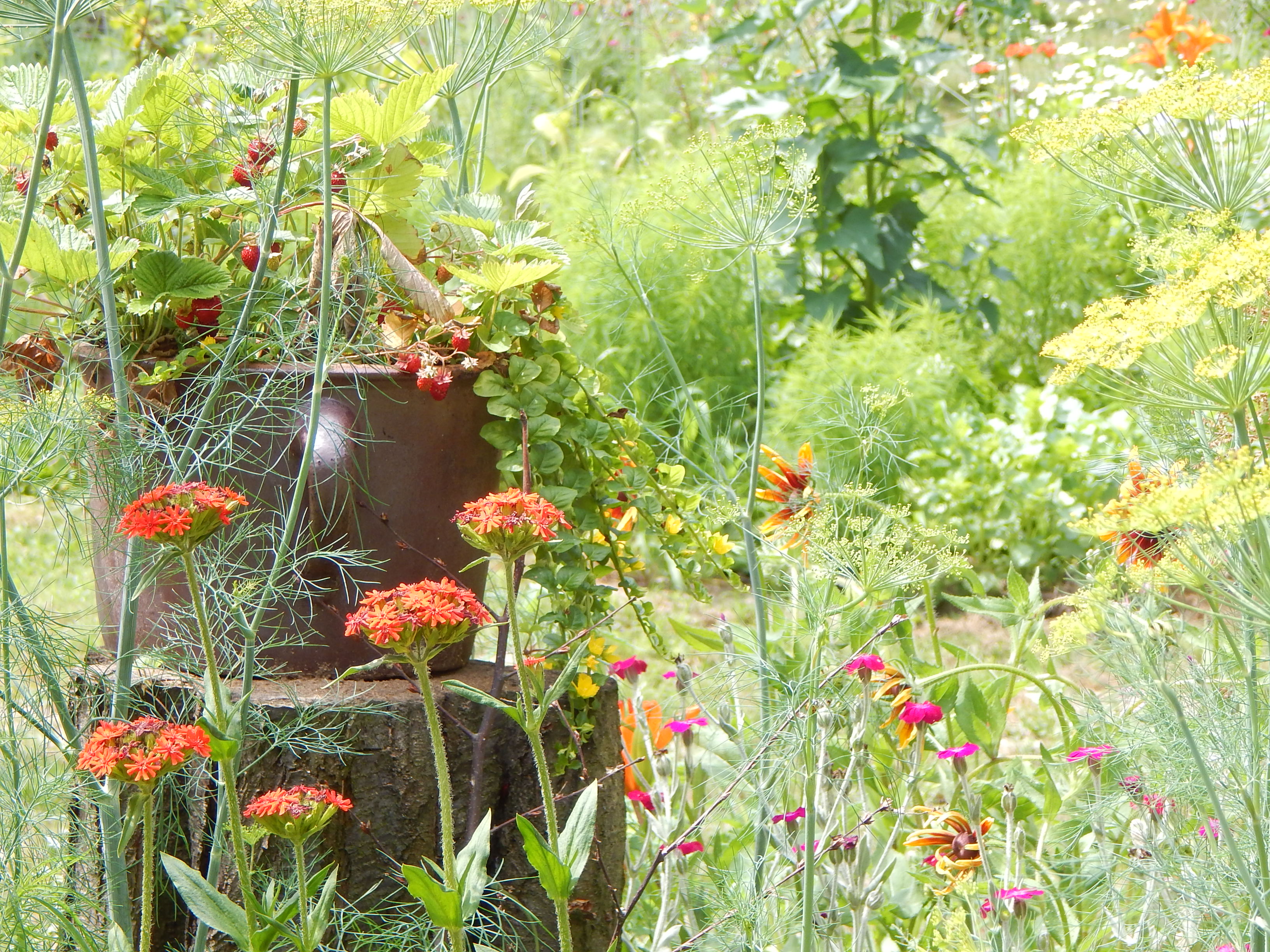 Gliniany gar....i jego czar