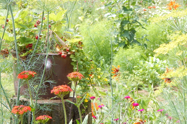 Gliniany gar....i jego czar