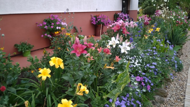 Kwietna rabata przed domem, o każdej porze roku przybiera różne kolory.