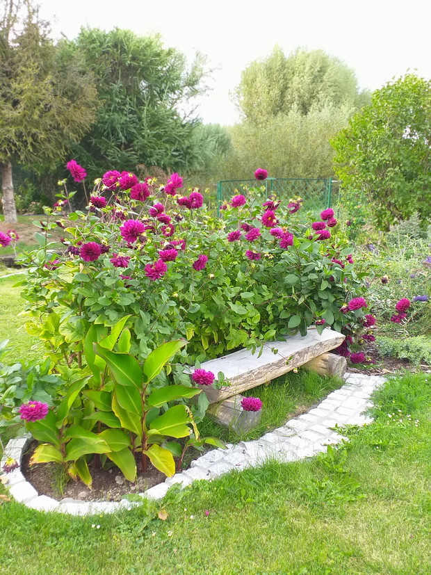 Ławka otoczona daliami