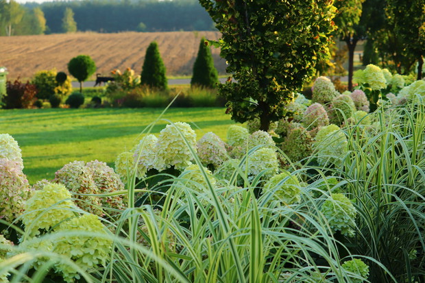 Limonkowa wizytówka