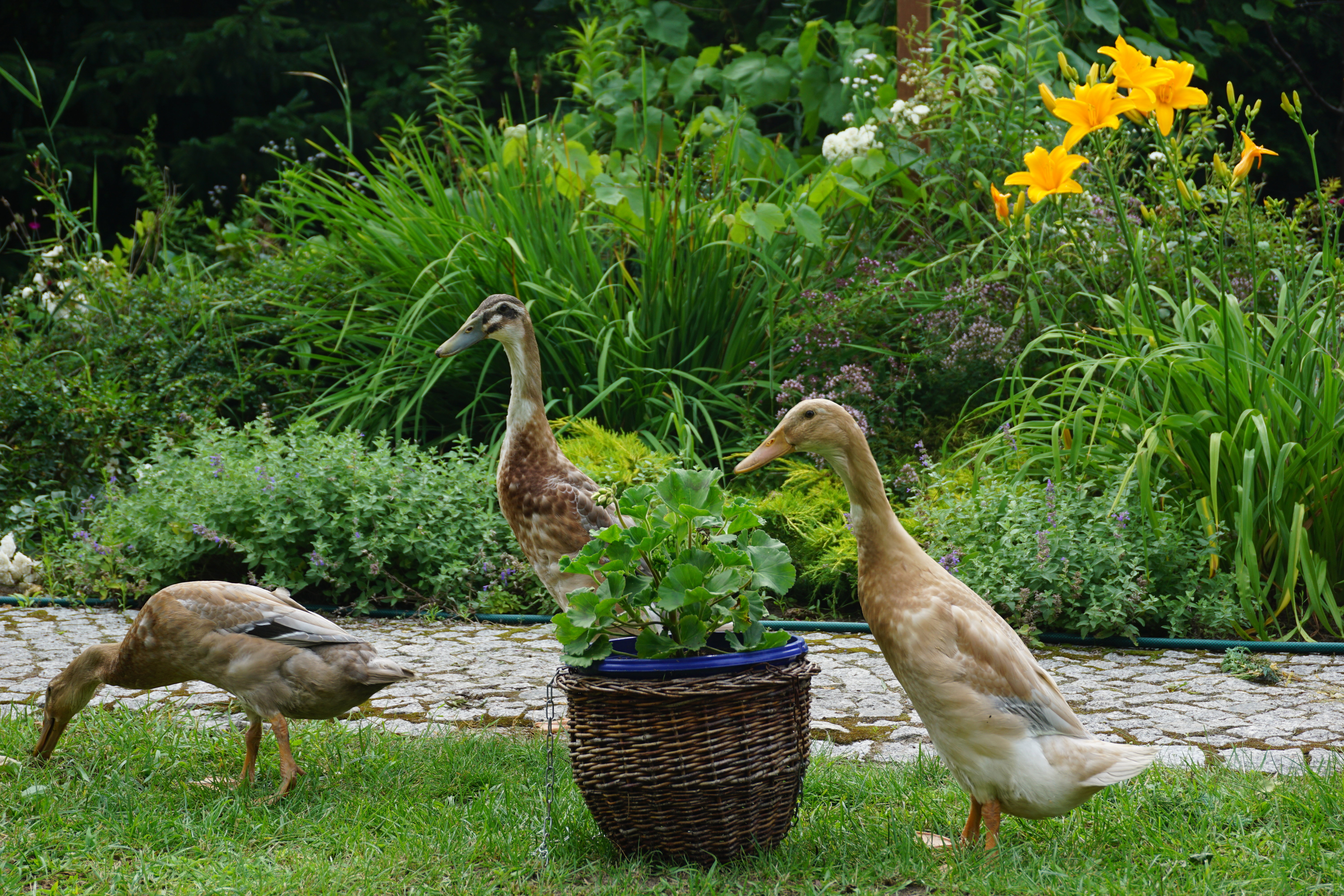 Mój mały kawałek nieba