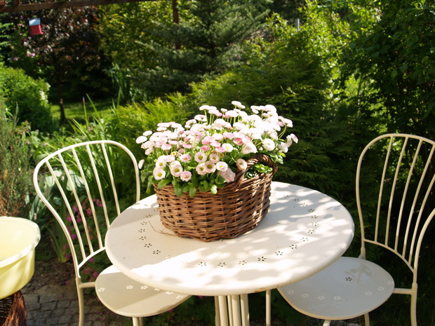 Mój mały kawałek nieba