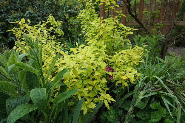 Mój mały kawałek nieba