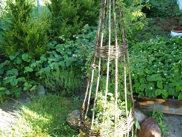 Mój mały kawałek nieba