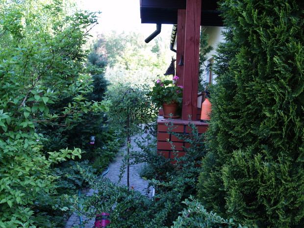 Mój mały kawałek nieba