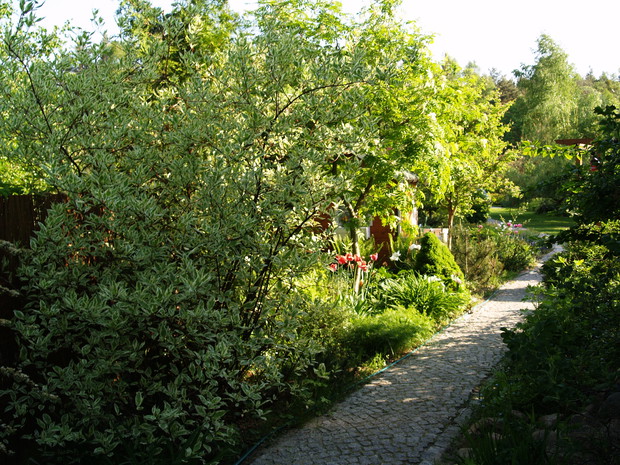 Mój mały kawałek nieba