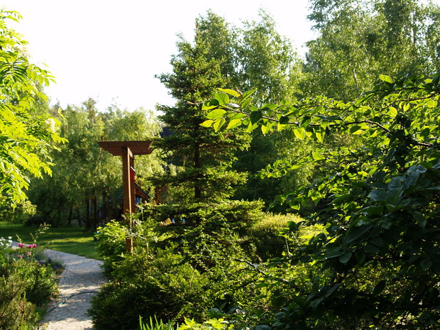 Mój mały kawałek nieba