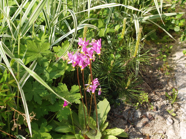 Mój mały kawałek nieba