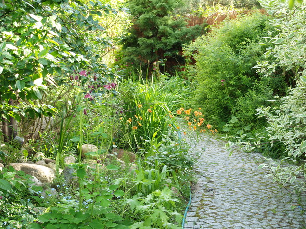 Mój mały kawałek nieba