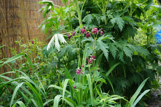 Mój mały kawałek nieba