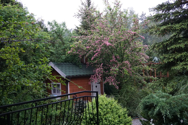 Mój mały kawałek nieba