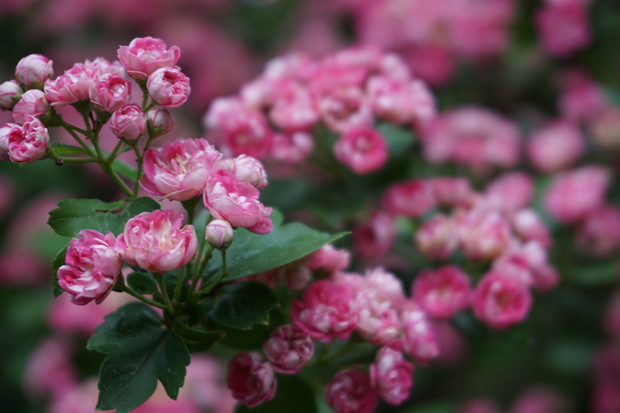 Mój mały kawałek nieba