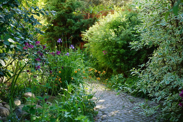 Mój mały kwałek nieba