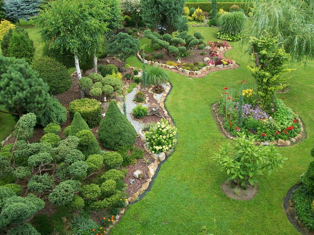 Mój mąż Aleksander formuje iglaki na różne kształty.