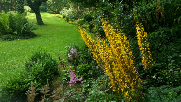 Najbardziej cienista część ogrodu