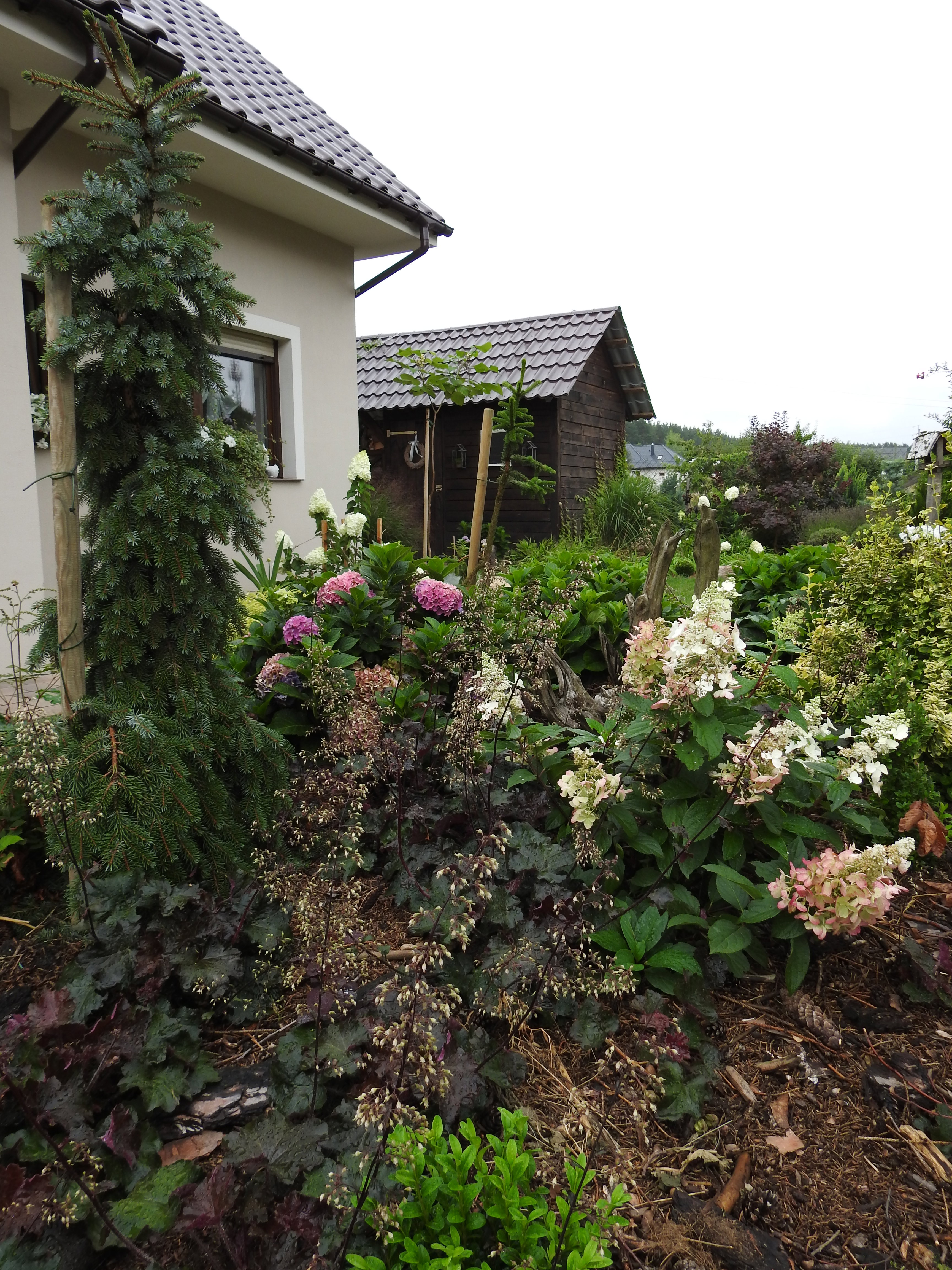 Ogrodnik Doskonały 2019