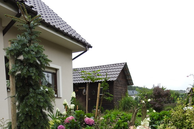 Ogrodnik Doskonały 2019