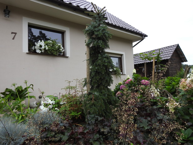 Ogrodnik Doskonały 2019