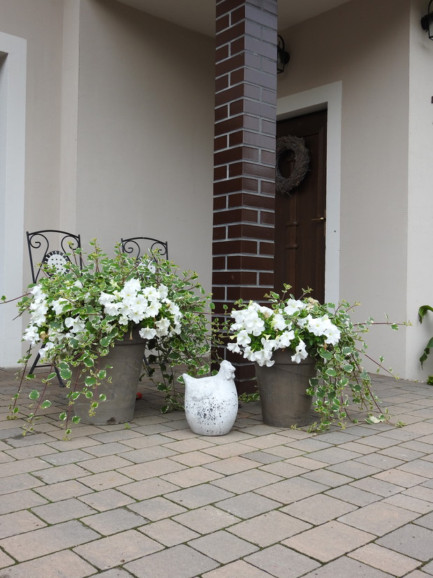 Ogrodnik Doskonały 2019