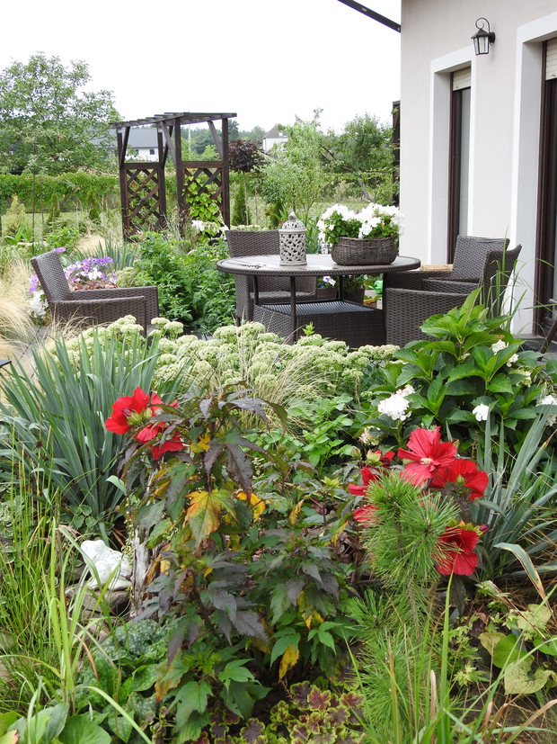 Ogrodnik Doskonały 2019