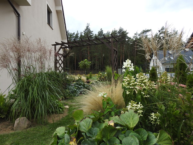 Ogrodnik Doskonały 2019