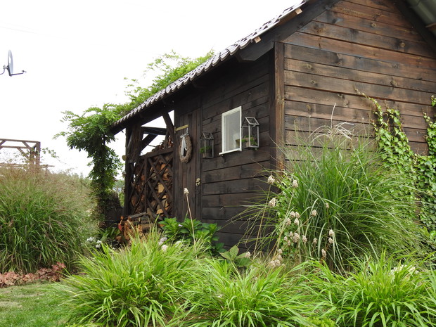 Ogrodnik Doskonały 2019