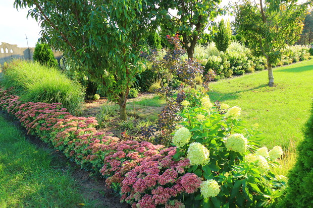 Przedogródkowe szpalery