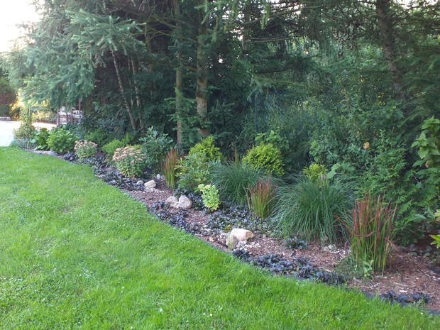 Rabata pod modrzewiami 2