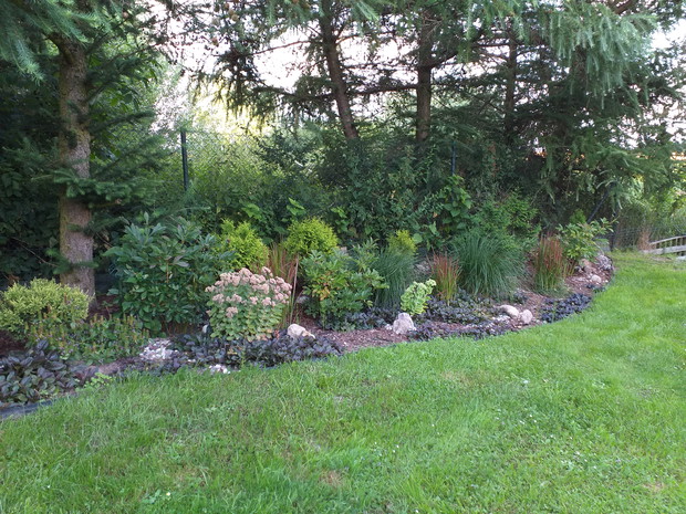 Rabata pod modrzewiami