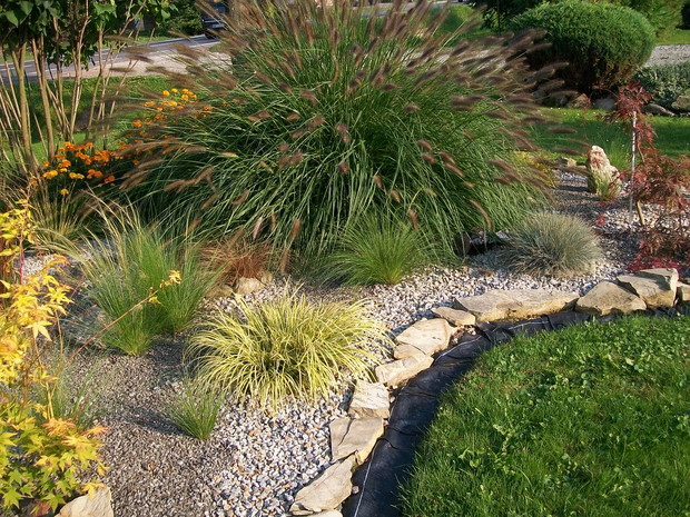 Rabata z trawami ozdobnymi najpiękniejszy urok ma jesienią.