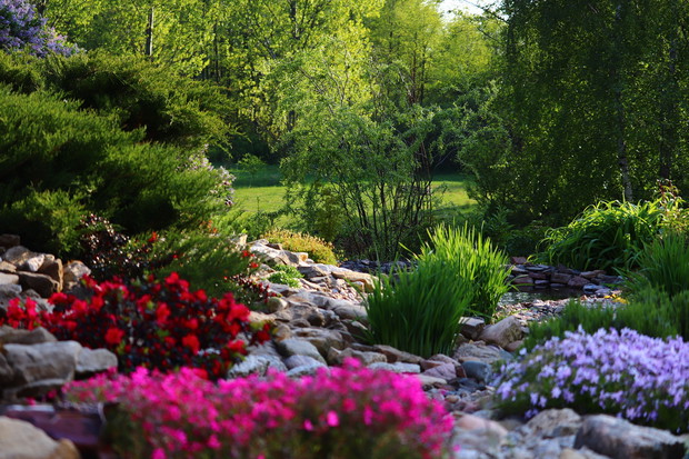 Skalniak z widokiem na łąkę