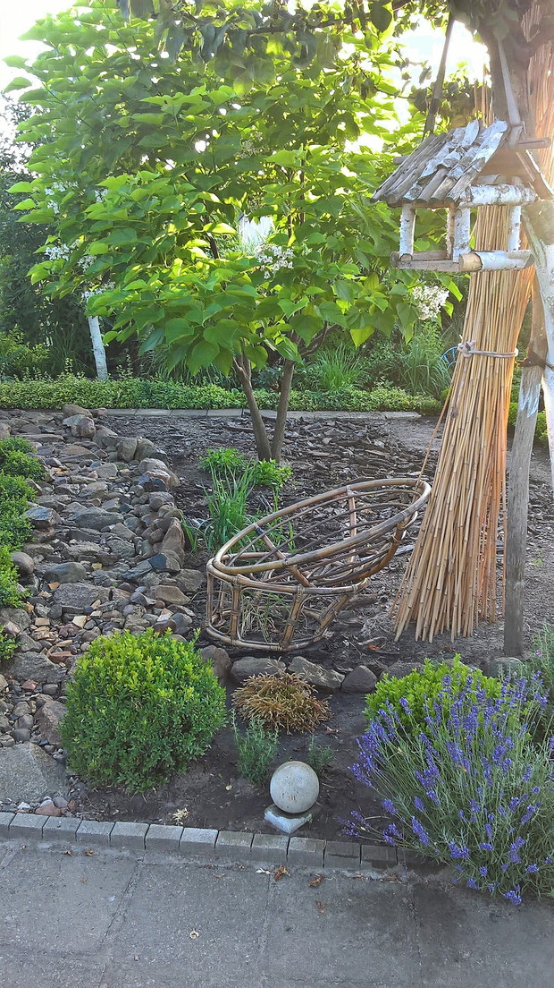 Starodrzew jest piękny