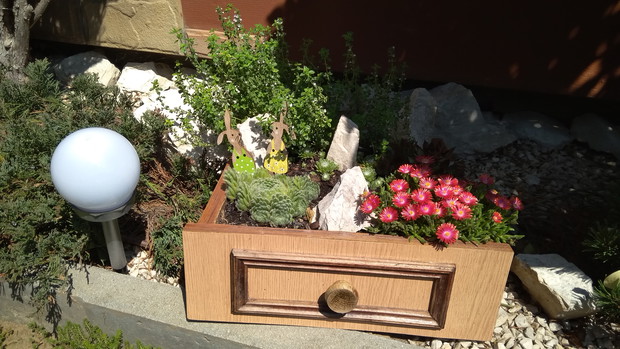 W moim ogrodzie różne stare przedmioty dostają drugie życie. Kwiaty rosną np. w starej walizce, w butach, w szufladzie, na krześle, w koszach i "wypływają" z wanienki...