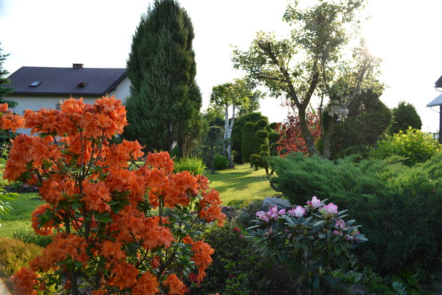 Wiosenna feria barw.