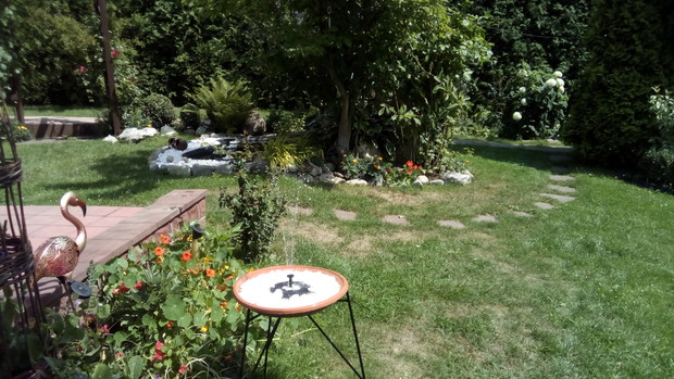 dalsza część ogrodu