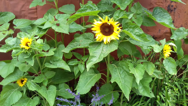 ...jest nas tu więcej :-)