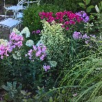 Kolorowy zawrót głowy