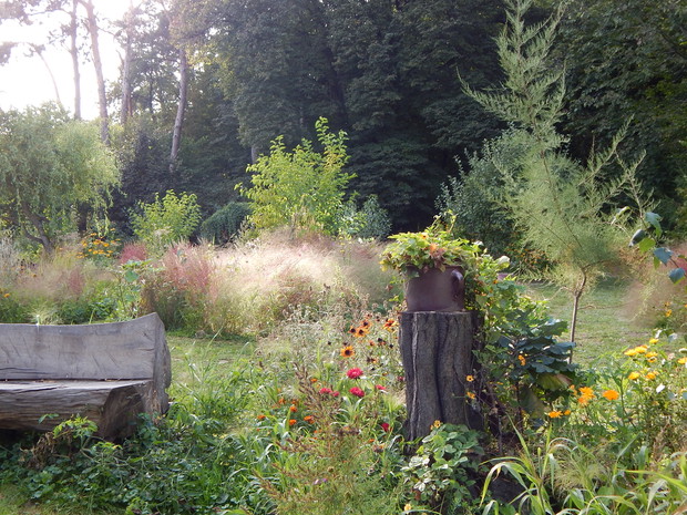 Ława z grabowej kłody