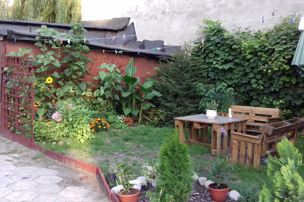 nasz ogródek w lipcu :-)