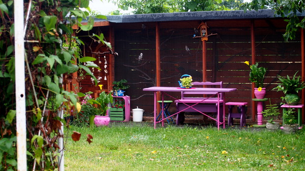 Ogródek Pełen Kwiatów